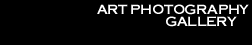 Art Photography Gallery
