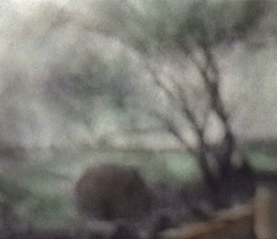 hand tinted from large format paper negative