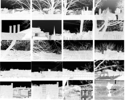 contact sheet
