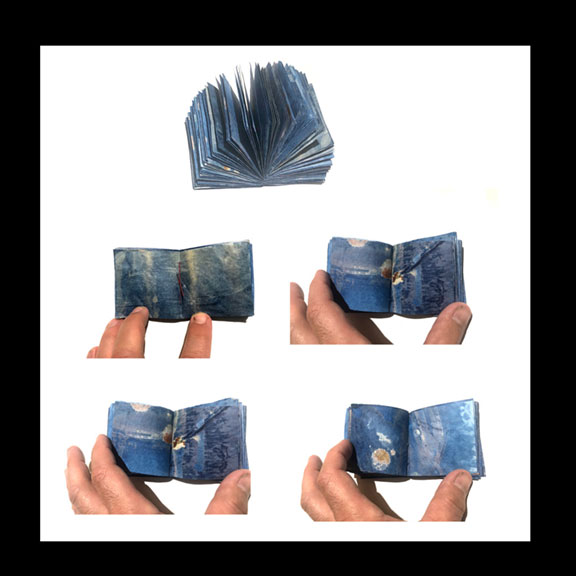small book of cyanotypes