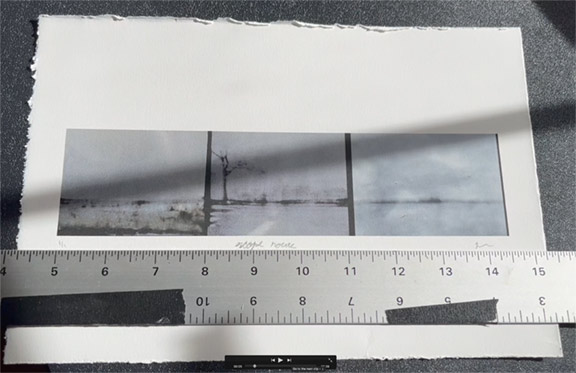 3 image print