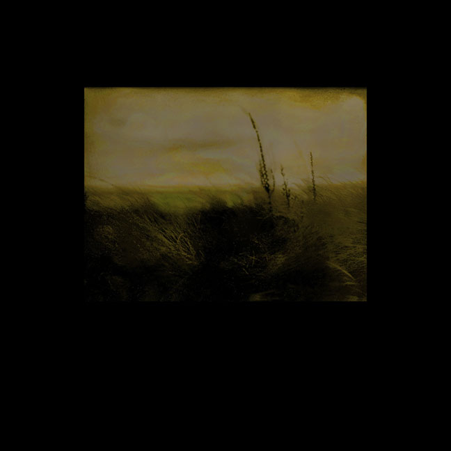 looking to potowamut